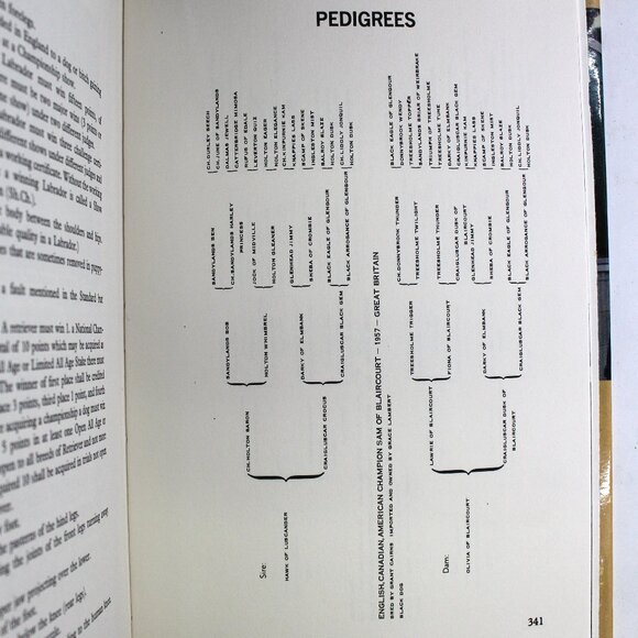 Book: The Labrador Retriever by Dorothy Howe - Picture 9 of 10